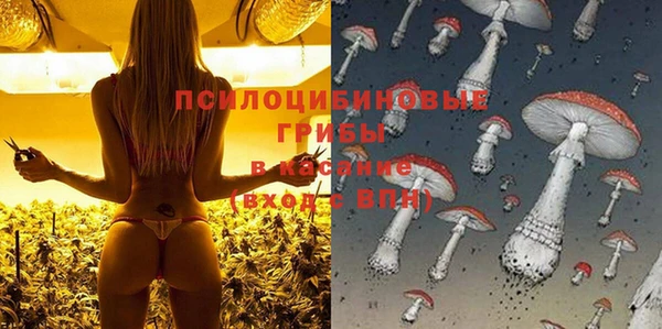 ПСИЛОЦИБИНОВЫЕ ГРИБЫ Нефтегорск