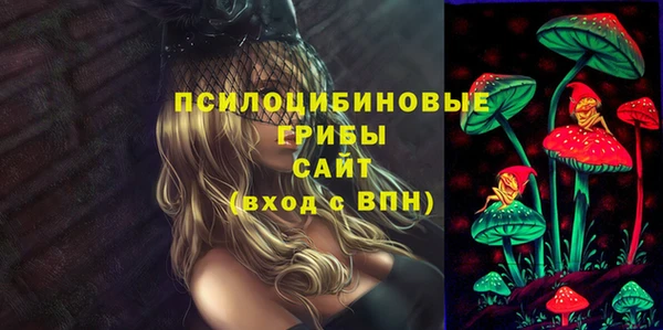 дживик Наволоки