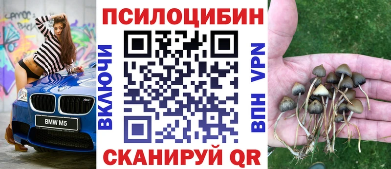дарнет шоп  Магнитогорск  Псилоцибиновые грибы Cubensis 