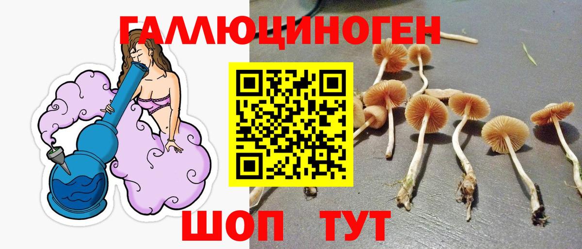 Псилоцибиновые грибы Psilocybine cubensis  Вход с VPN  Магнитогорск 